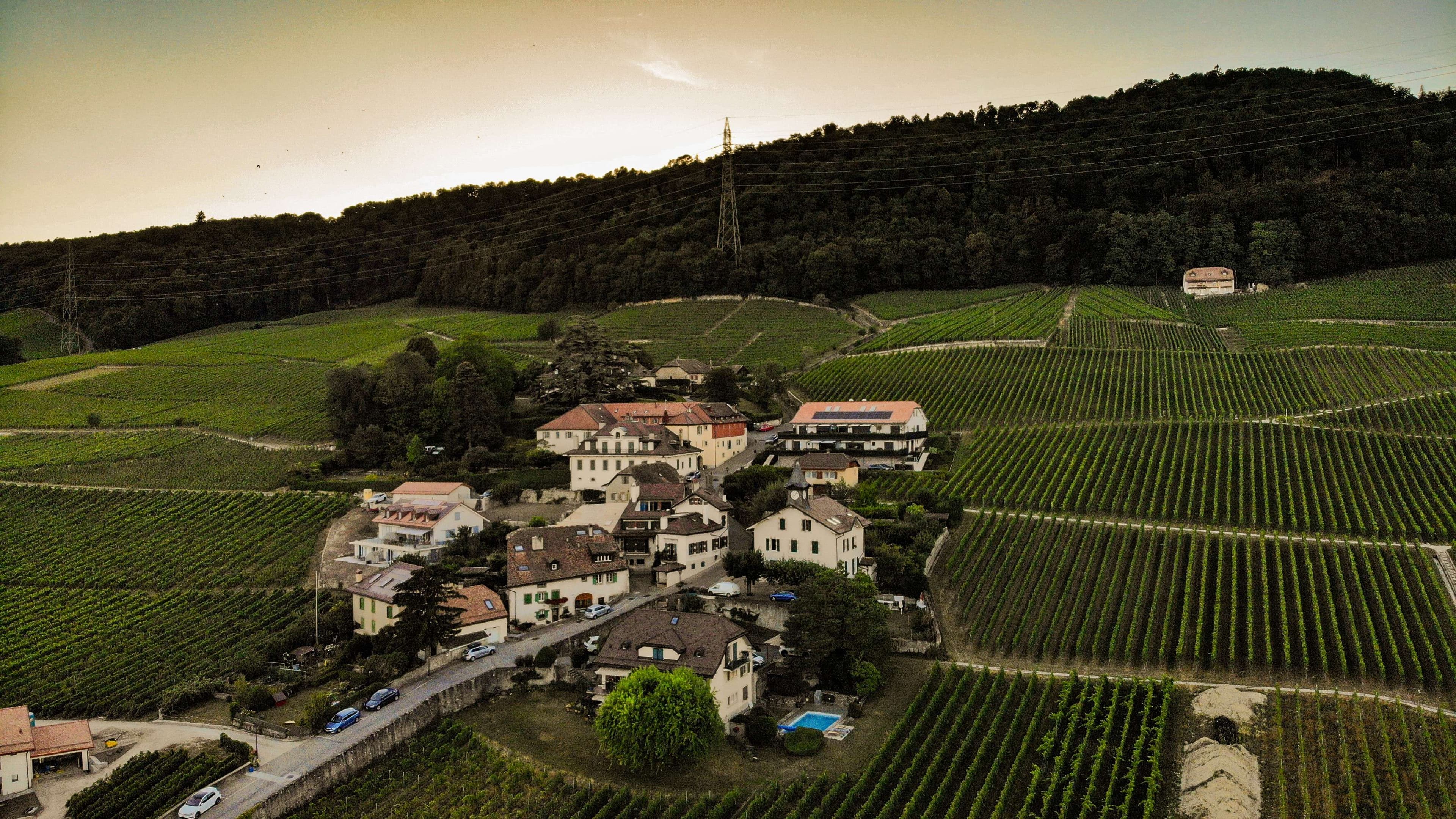 DescriptionComingSoon