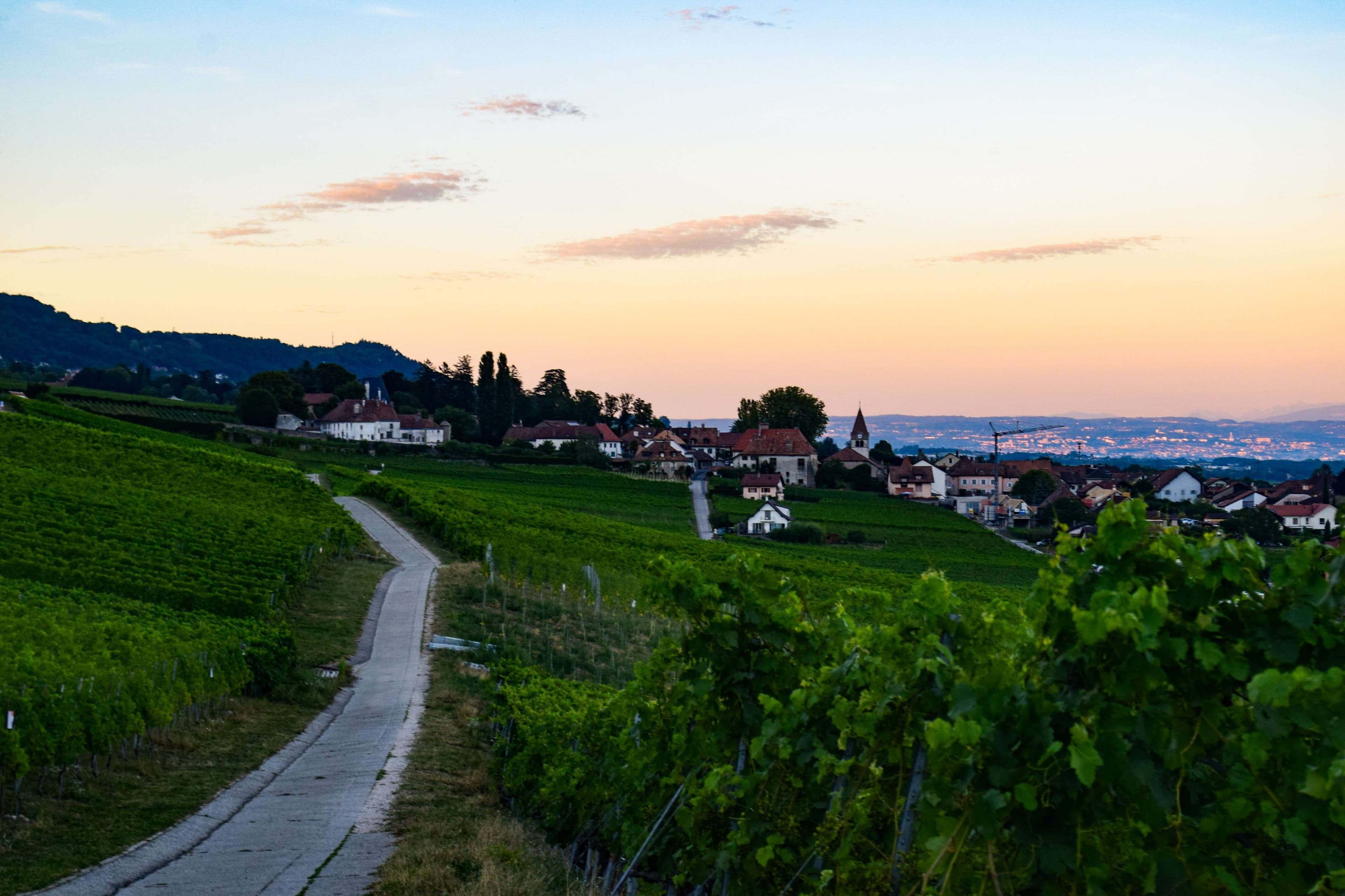 DescriptionComingSoon