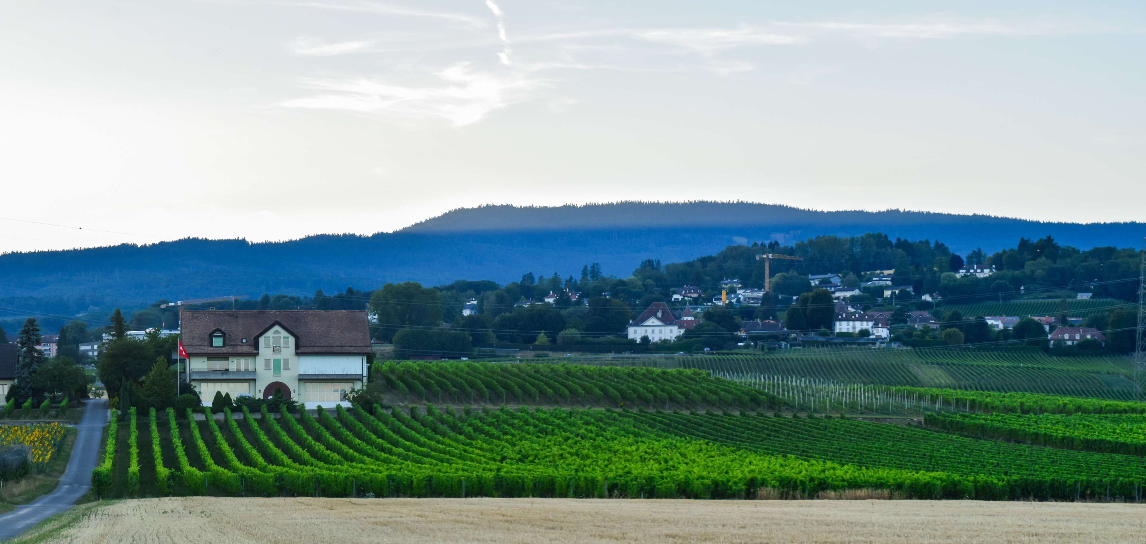 DescriptionComingSoon