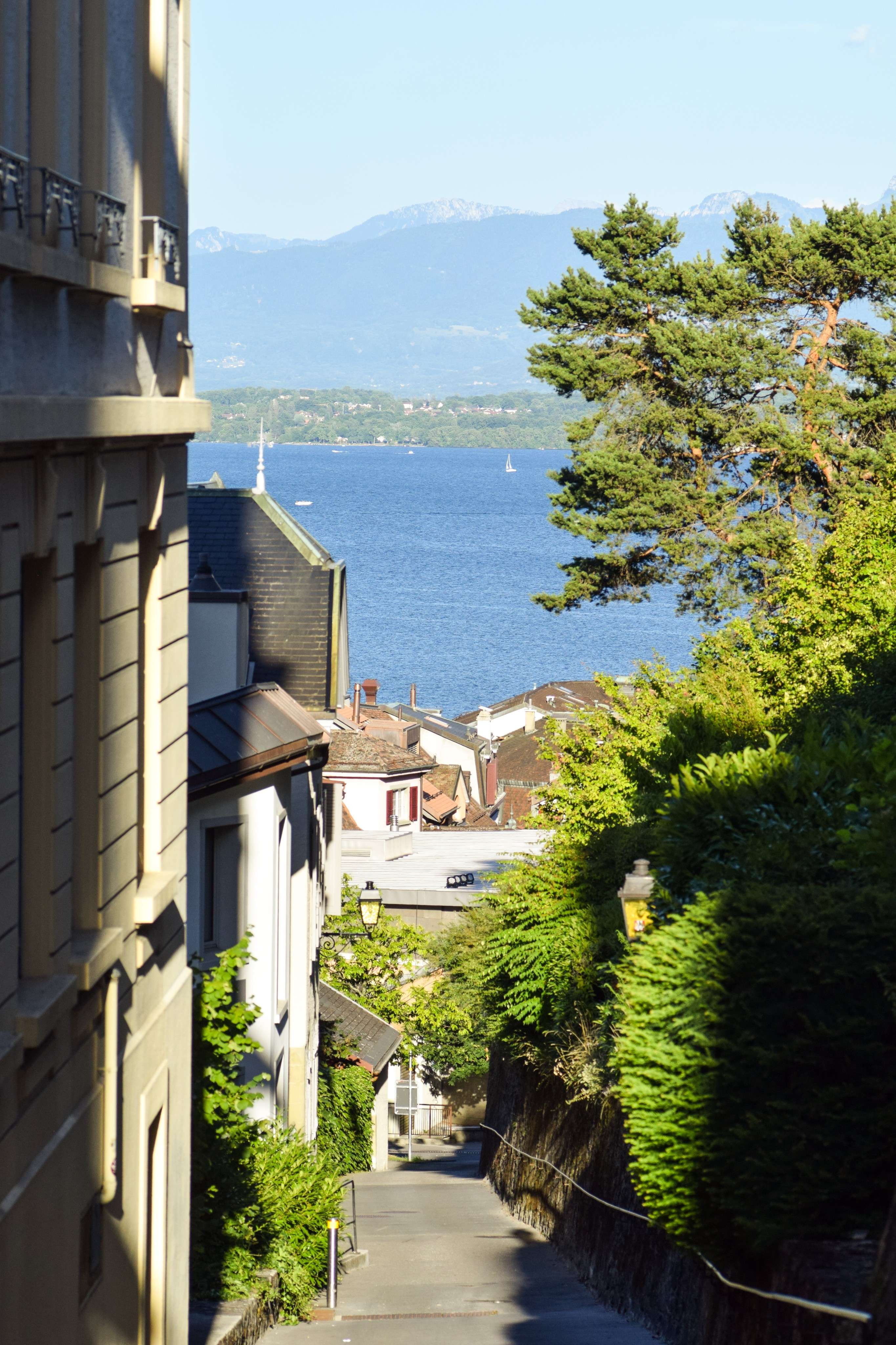 DescriptionComingSoon