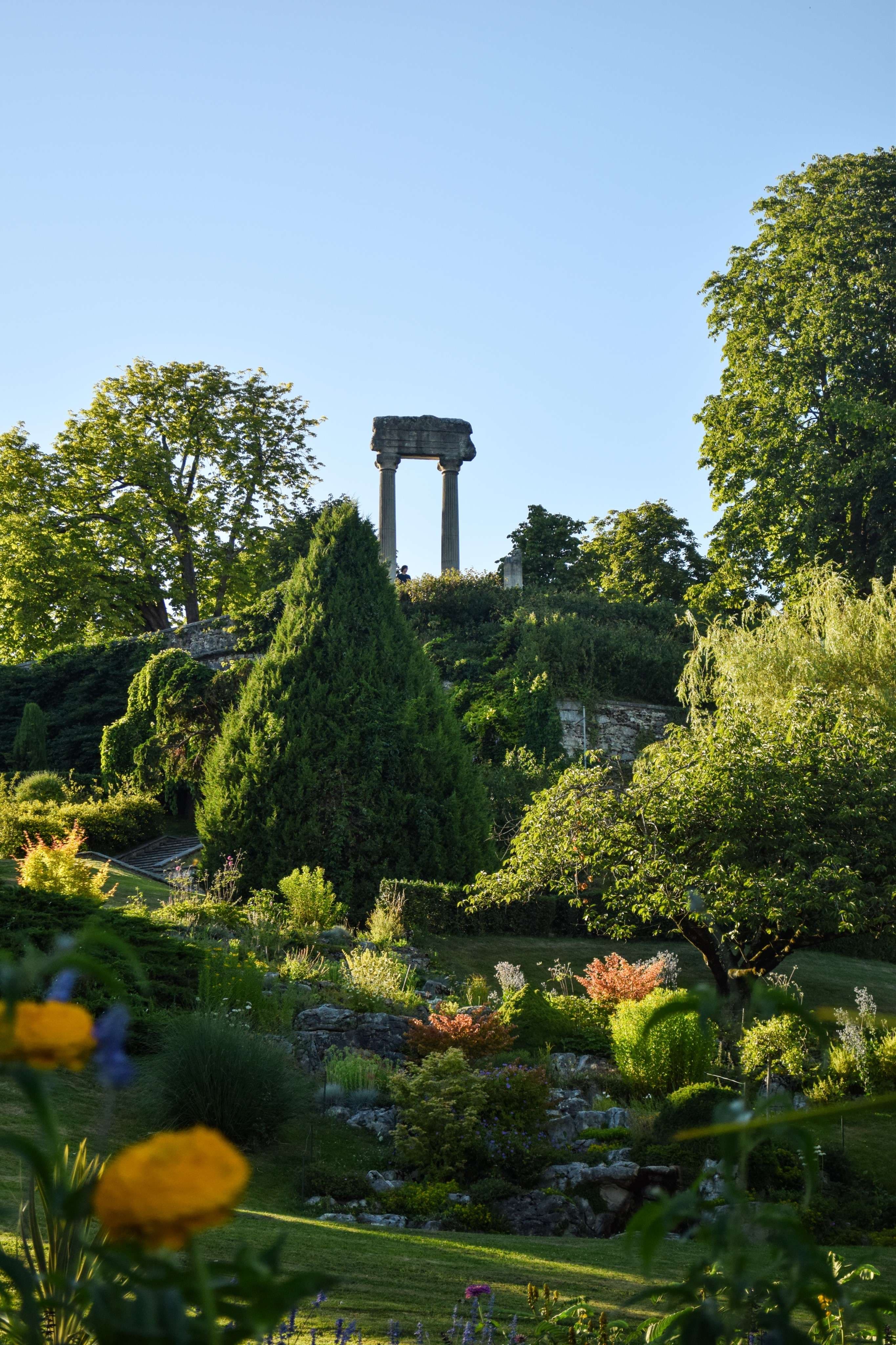 DescriptionComingSoon