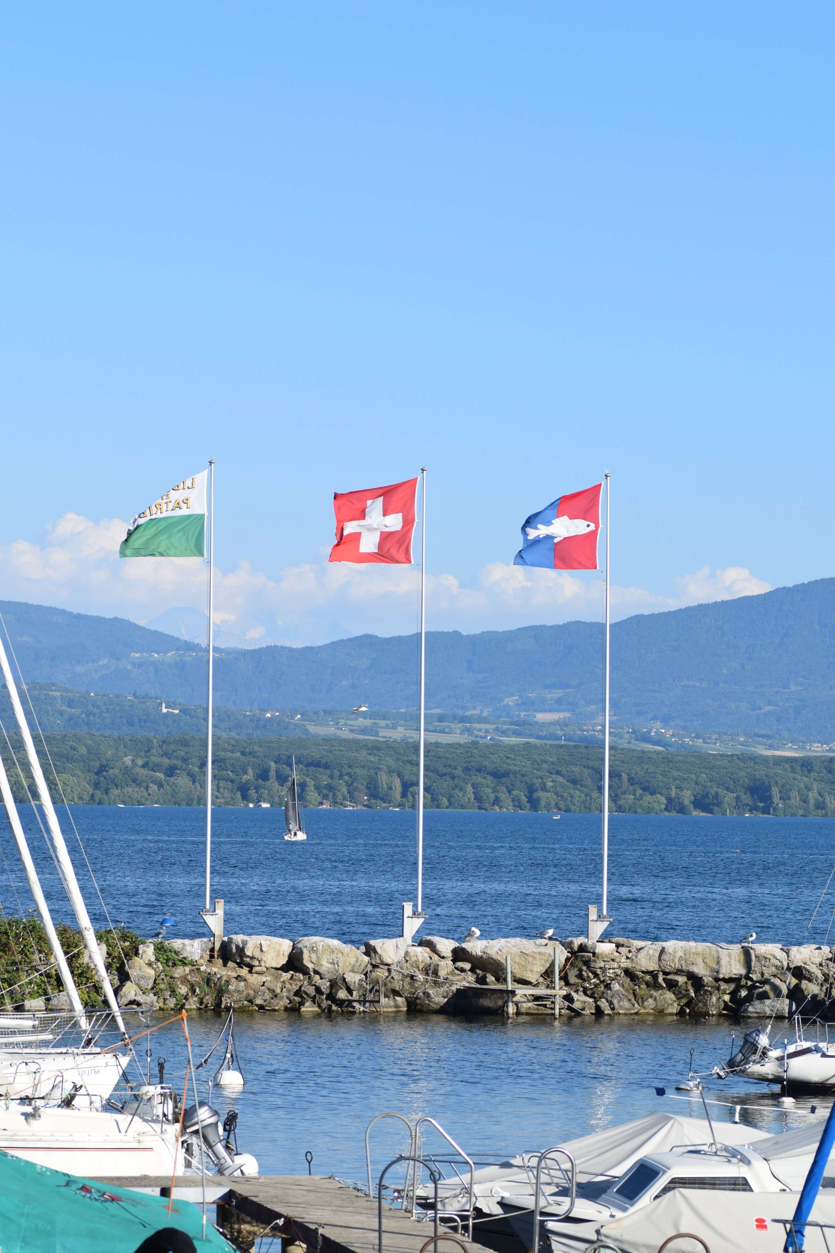 DescriptionComingSoon