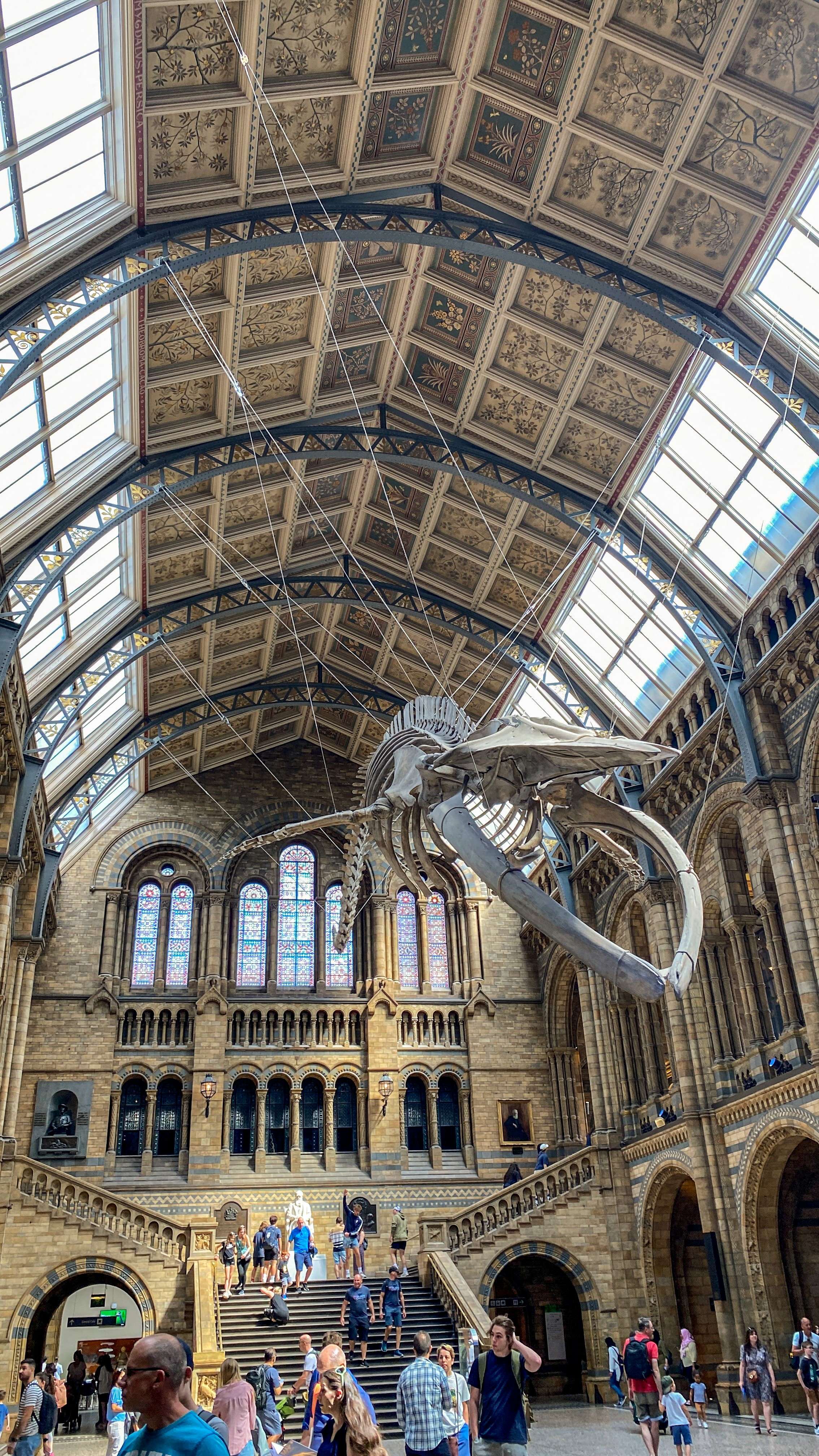 DescriptionComingSoon