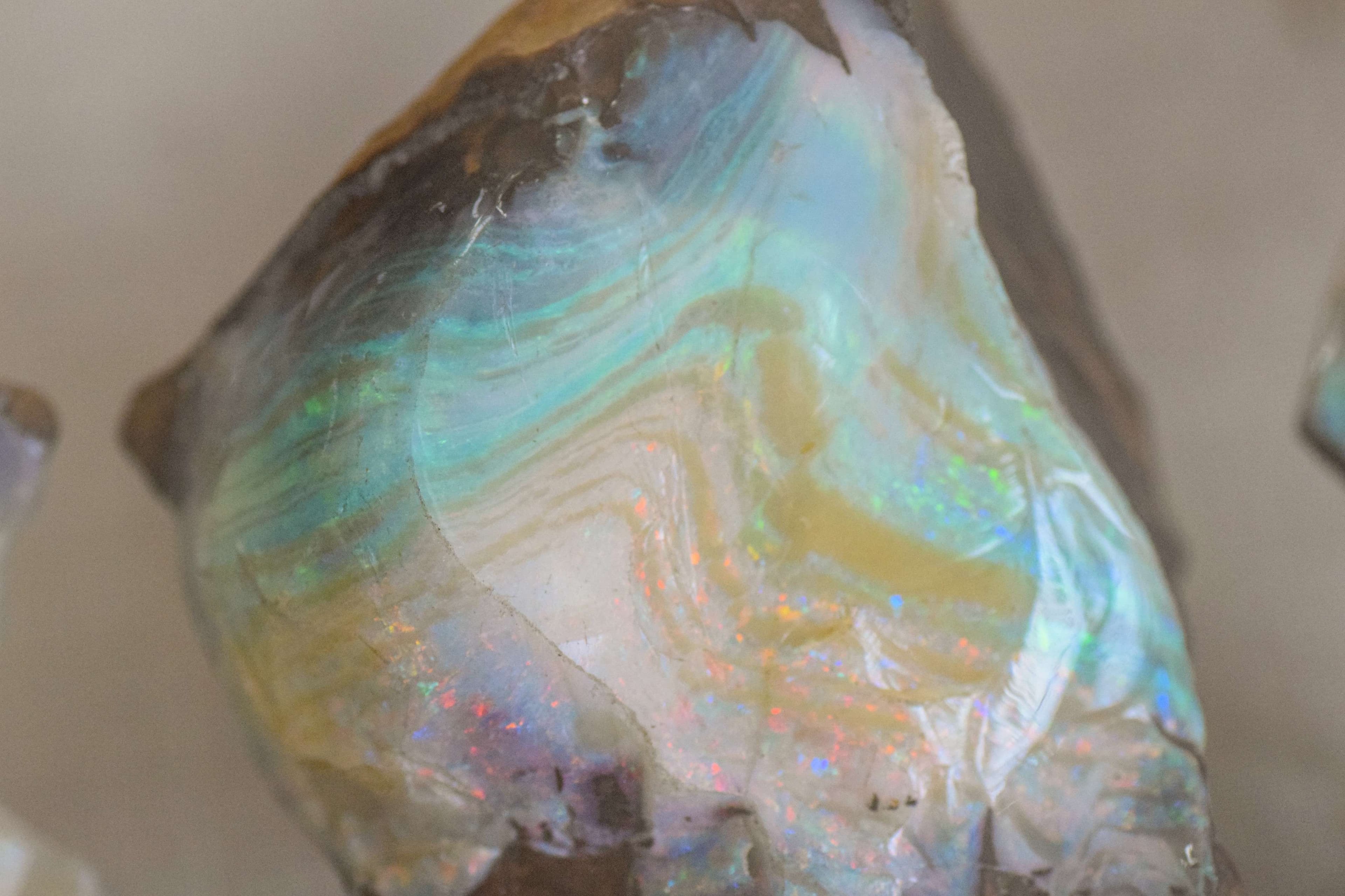 DescriptionComingSoon