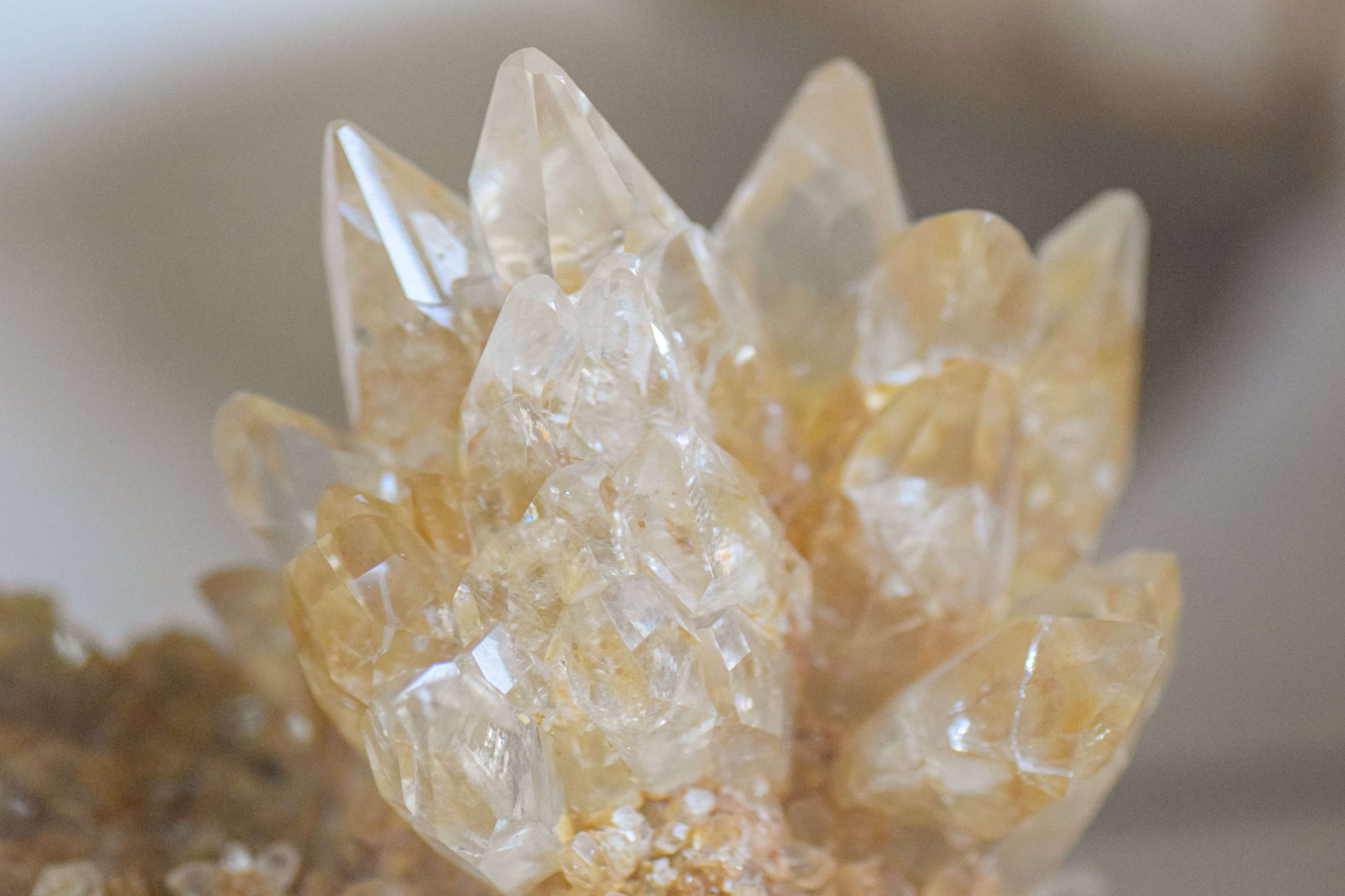 DescriptionComingSoon