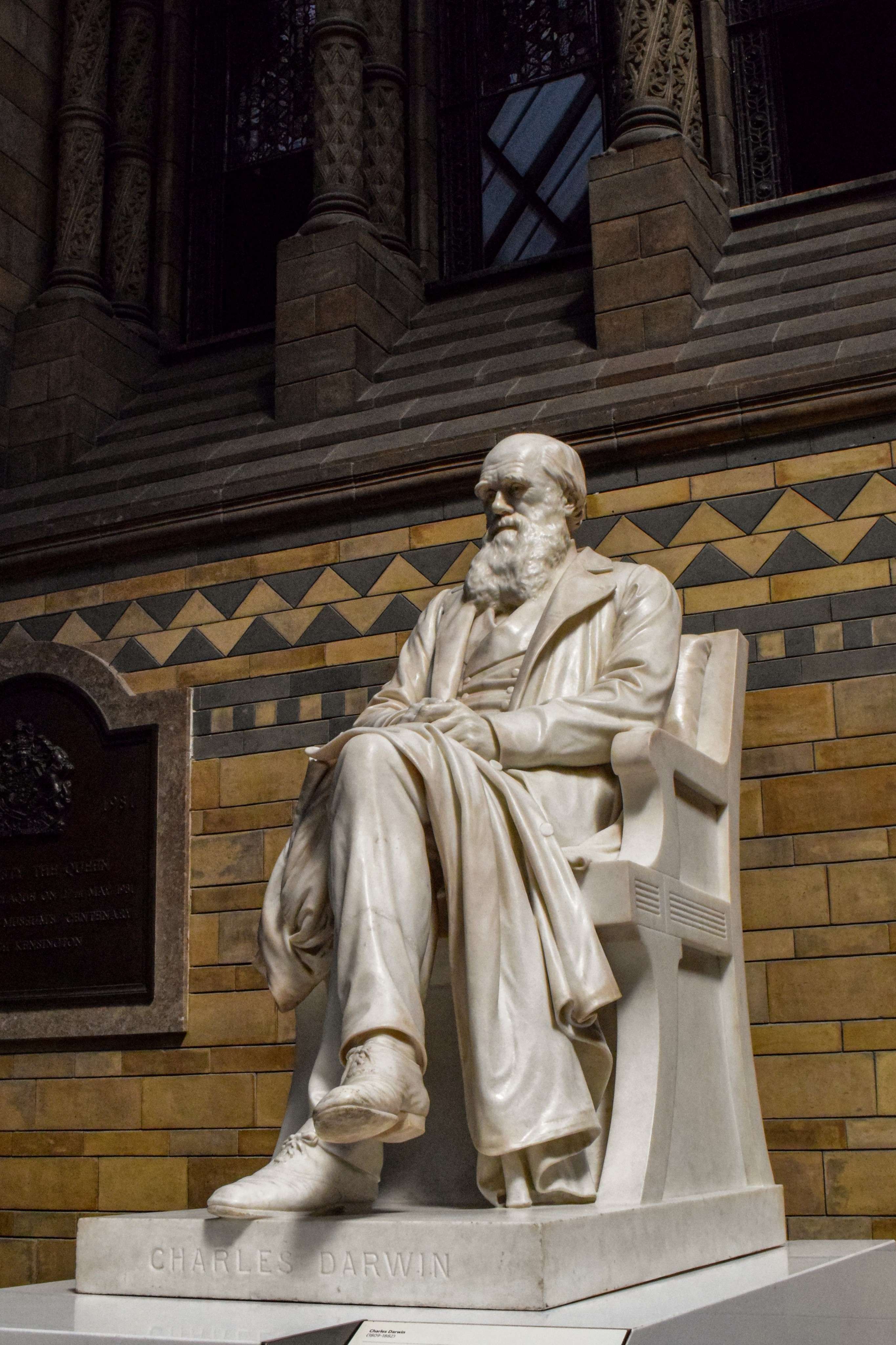 DescriptionComingSoon