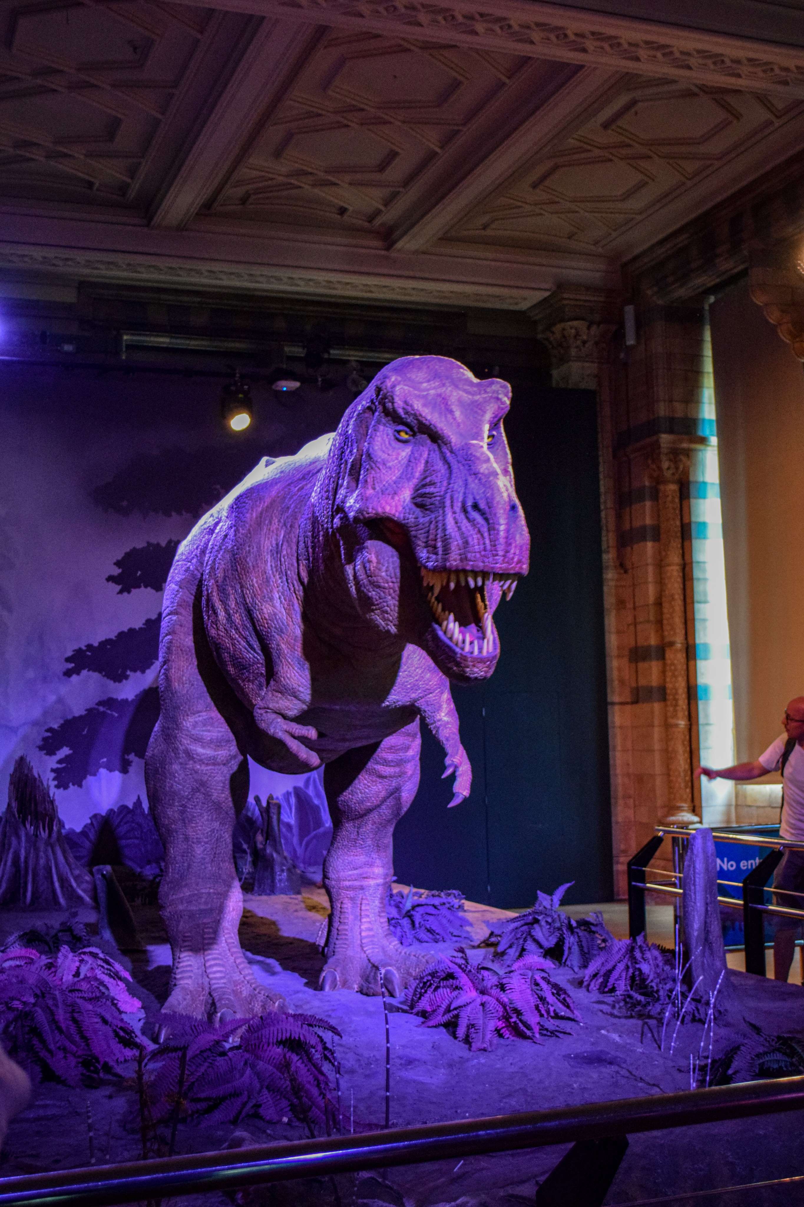 DescriptionComingSoon