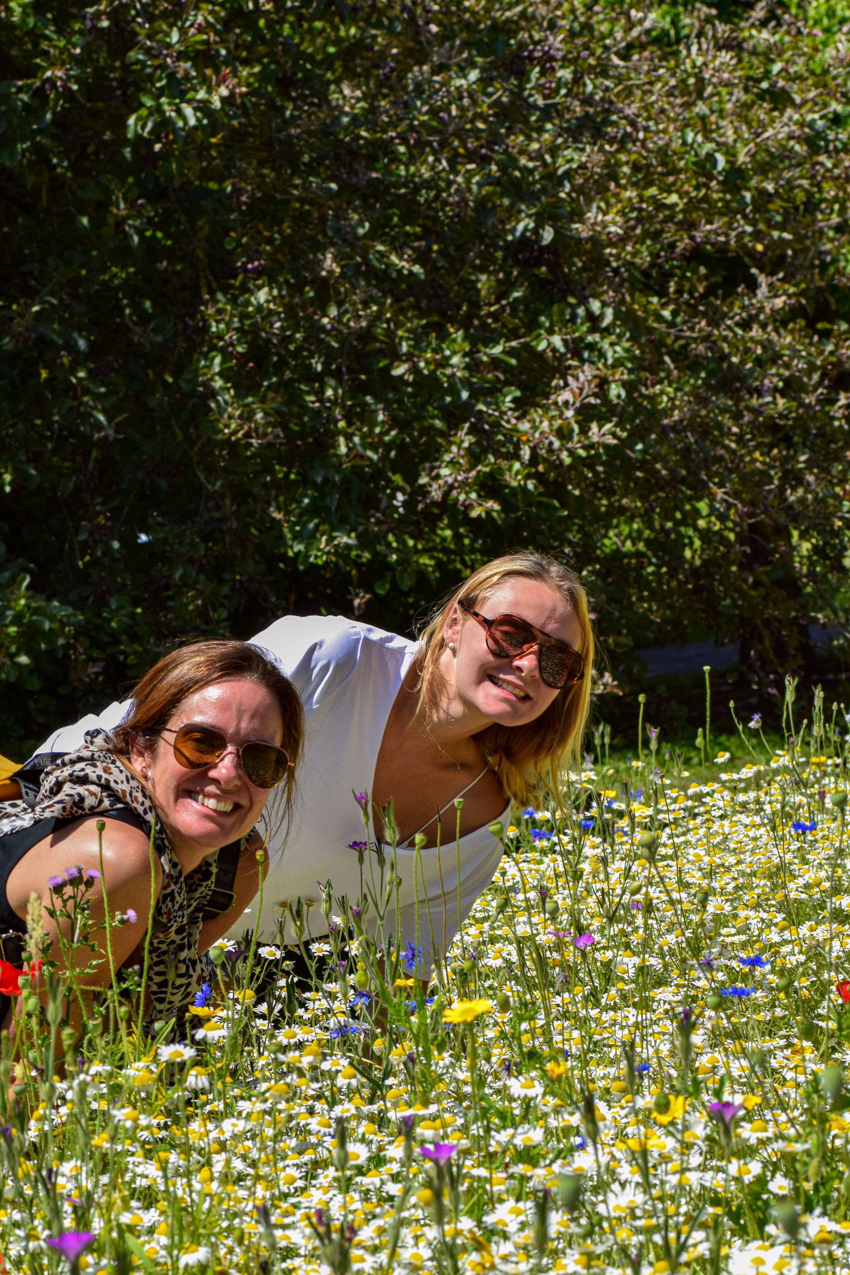 DescriptionComingSoon