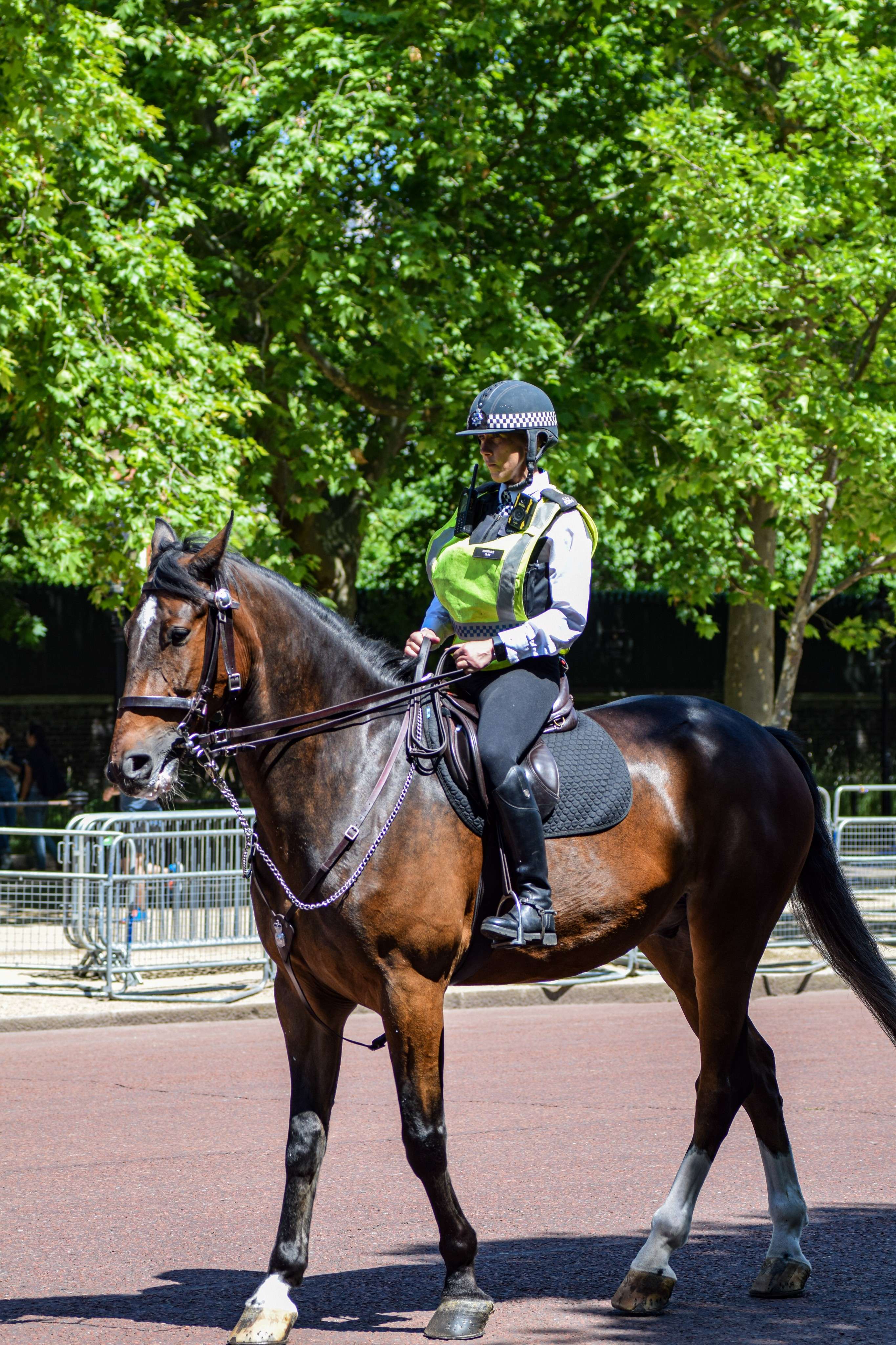 DescriptionComingSoon