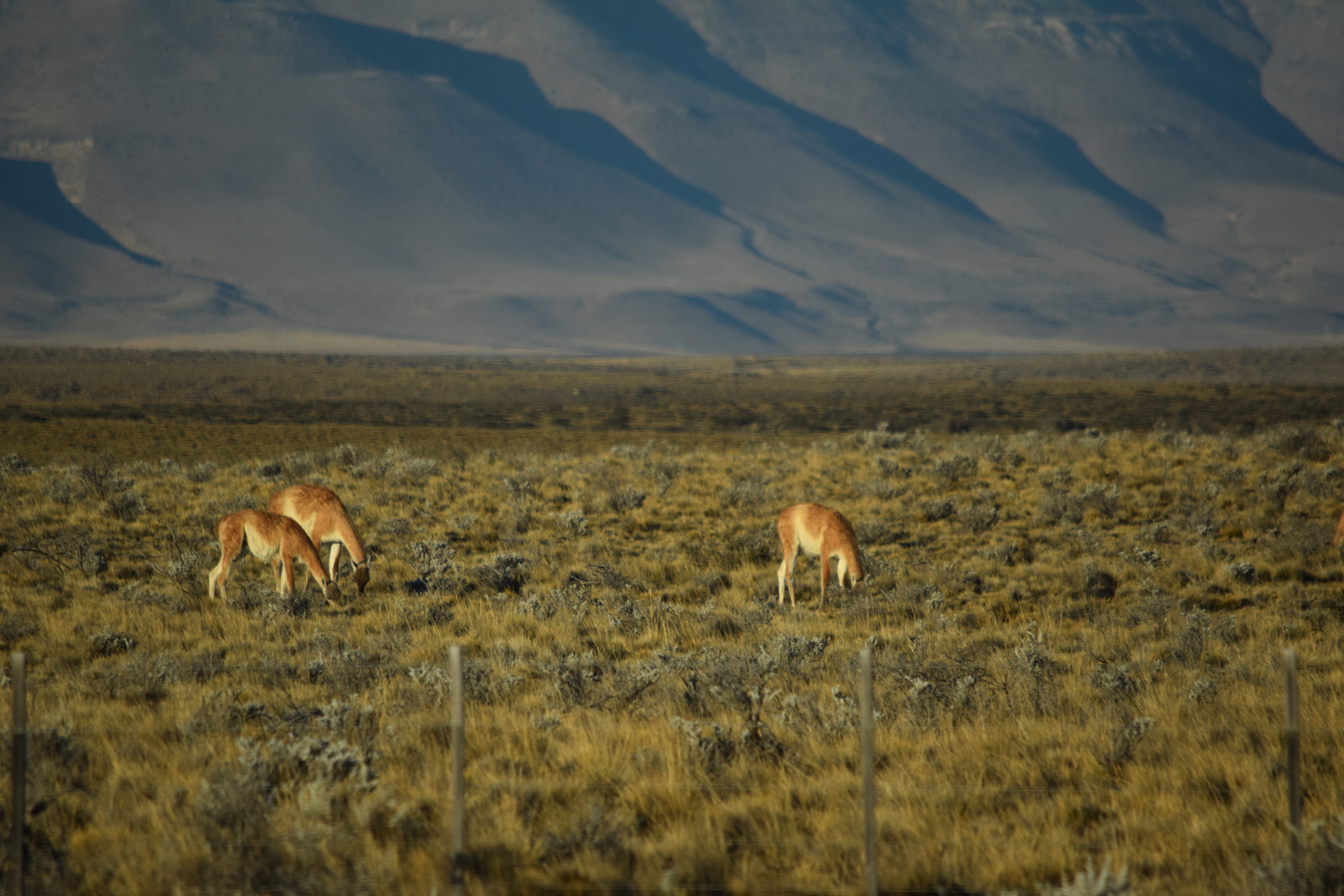 Photo 34