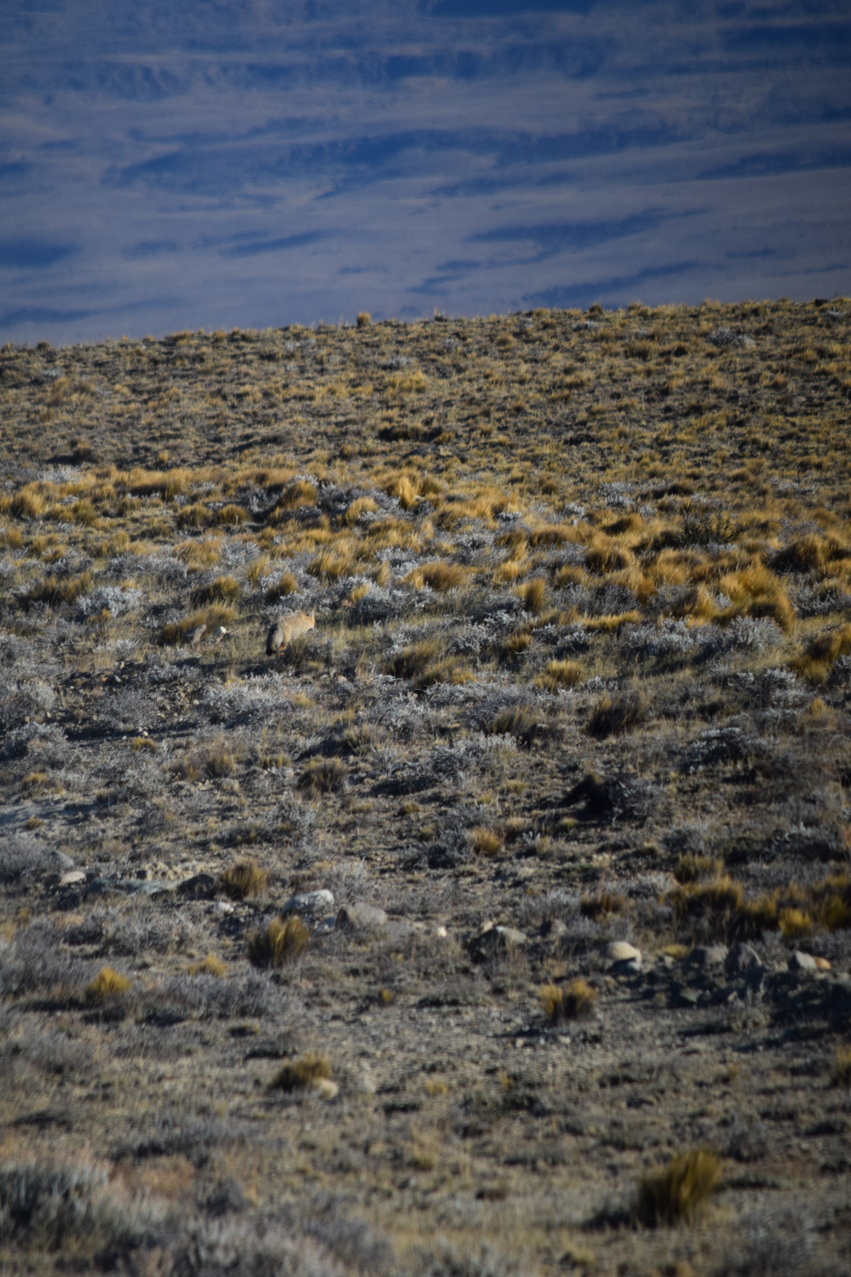 Photo 43