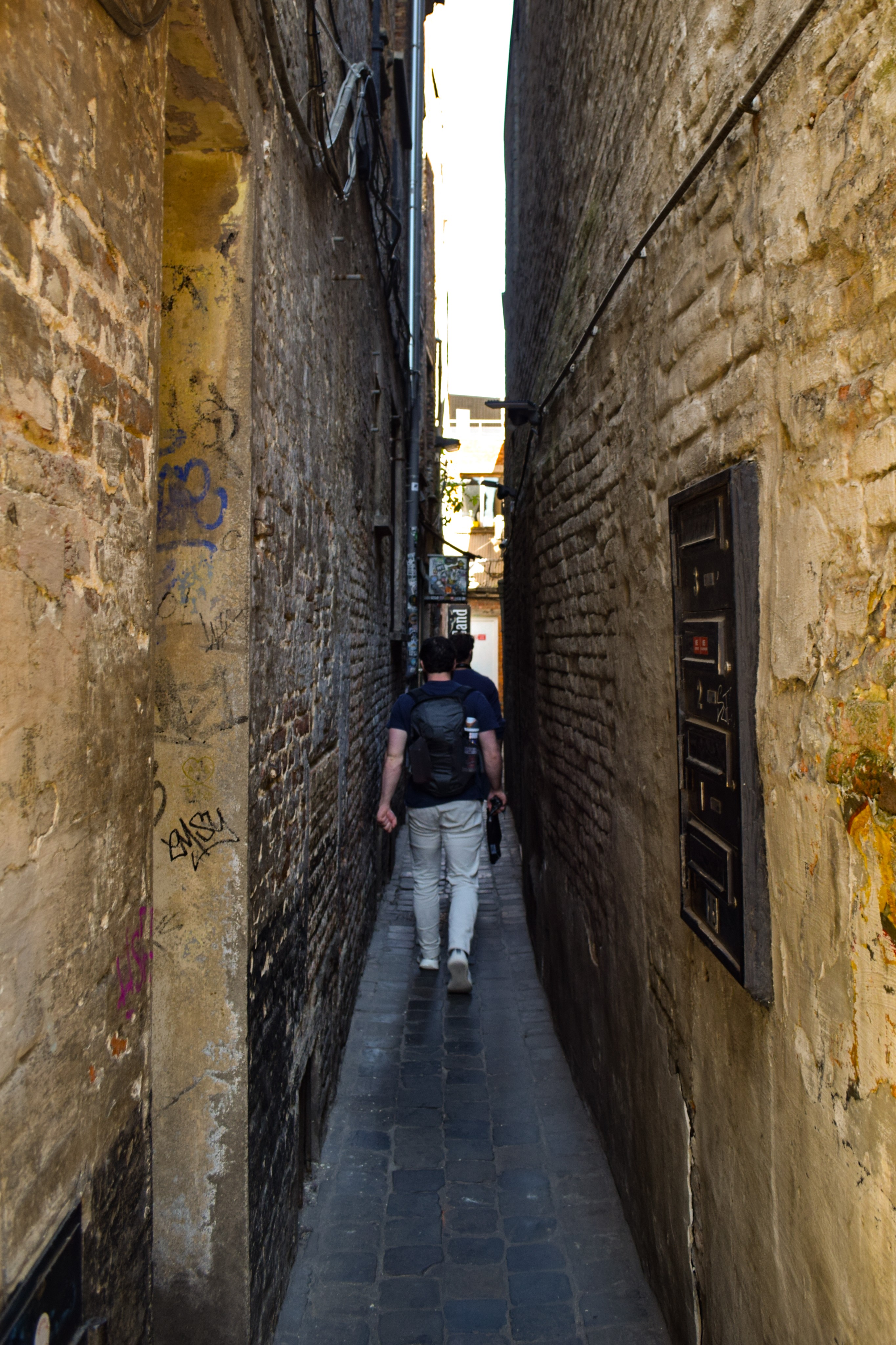 Photo 44