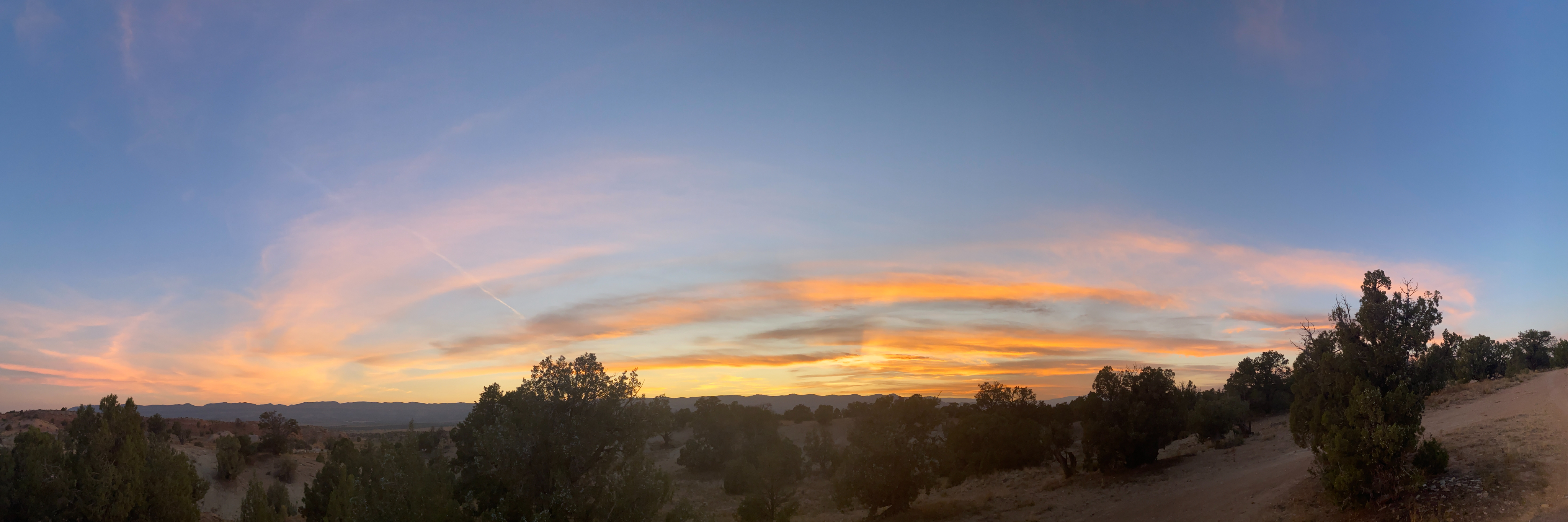 Panorama 5